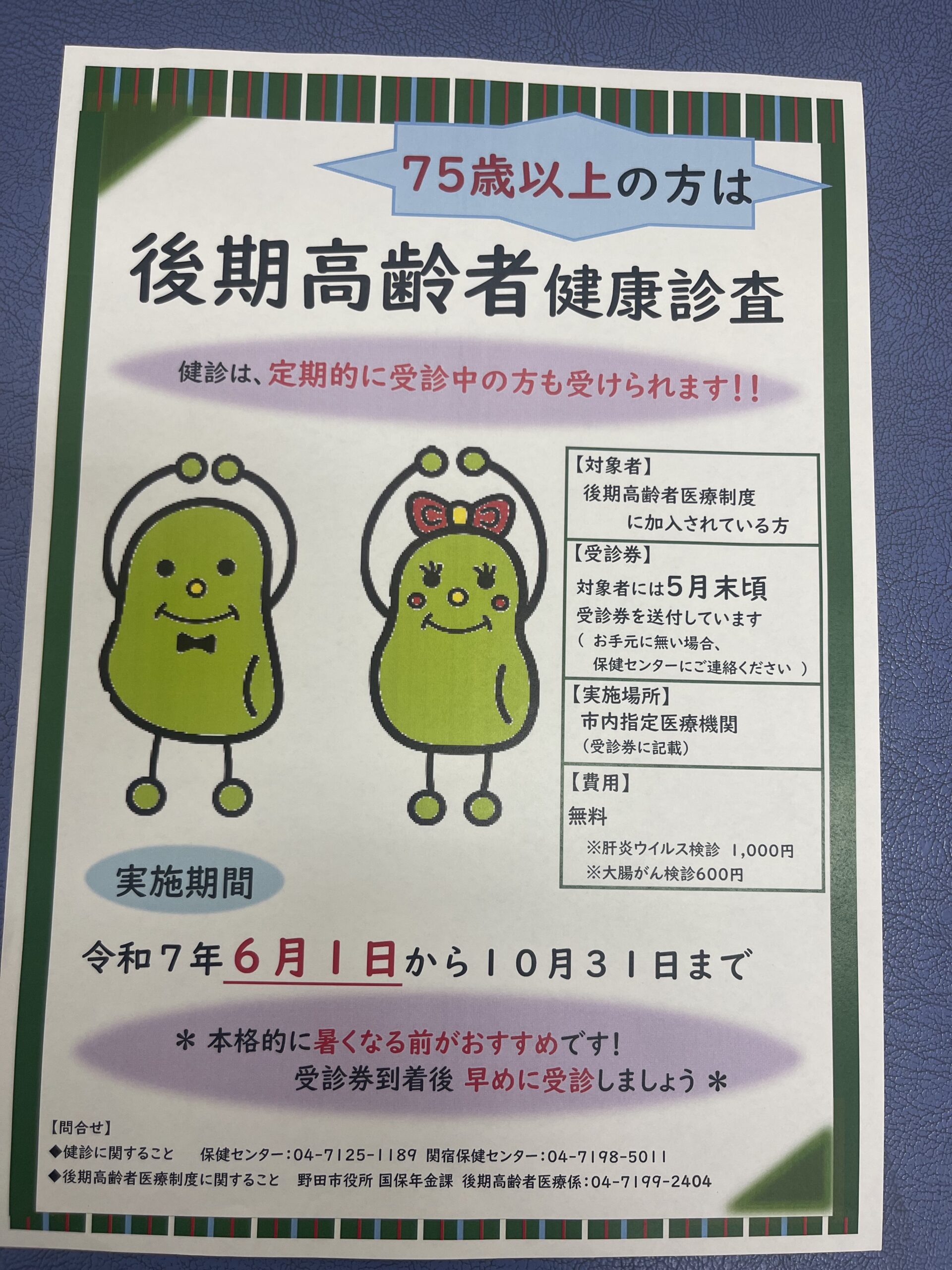 後期高齢者健康調査